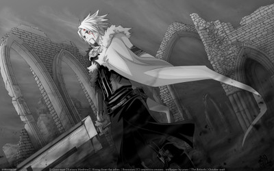 

Akhuratha Anime anime-dgray-man-allen-walker Wall Poster Paper Print(12 inch X 18 inch, Rolled)