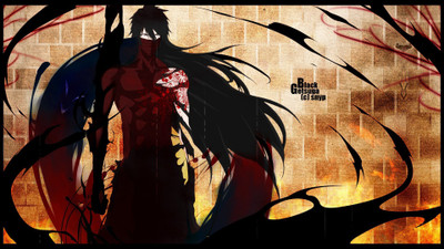 

Akhuratha Anime ableach-kurosaki-konachan-iphone-ichigo-field-image-sites Wall Poster Paper Print(12 inch X 18 inch, Rolled)