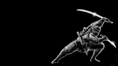 

Akhuratha Anime shadow-ninja-panic-metal-metallic-imageres-newresolution Wall Poster Paper Print(12 inch X 18 inch, Rolled)