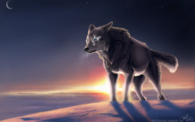 

Akhuratha Anime wolf-wolfroad Wall Poster Paper Print(12 inch X 18 inch, Rolled)