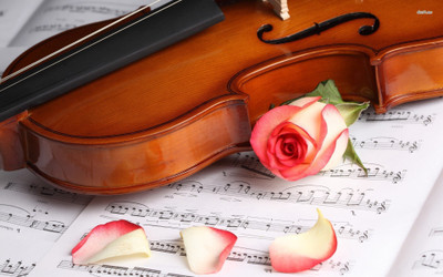 

Akhuratha -sheet-violin-rose Wall Poster Paper Print(12 inch X 18 inch, Rolled)