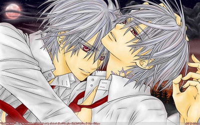 

Akhuratha Anime vampire-knights Wall Poster Paper Print(12 inch X 18 inch, Rolled)