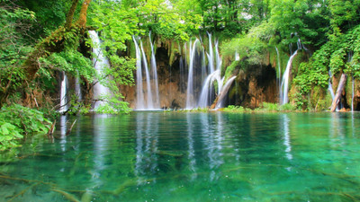 

music-jungle-wood-water-fallss Wall Poster Paper Print(12 inch X 18 inch, Rolled)