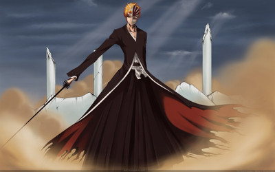

Akhuratha Anime ableach Wall Poster Paper Print(12 inch X 18 inch, Rolled)
