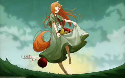 

Akhuratha Anime spice-and-wolf-holo Wall Poster Paper Print(12 inch X 18 inch, Rolled)