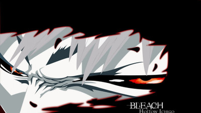

Akhuratha Anime s--bleach-photo-album Wall Poster Paper Print(12 inch X 18 inch, Rolled)