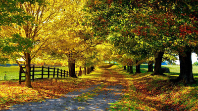 

season-landscapes-music-roads-autumn-sunlight-fresh Wall Poster Paper Print(12 inch X 18 inch, Rolled)