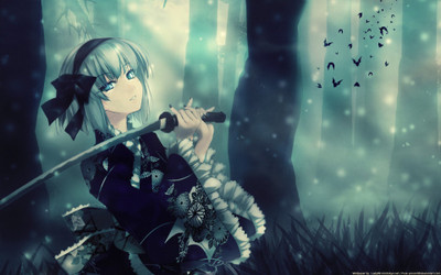 

Akhuratha Anime Wall Poster Paper Print(12 inch X 18 inch, Rolled)