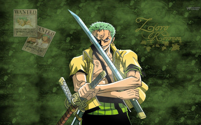 

Akhuratha Anime piece-roronoa Wall Poster Paper Print(12 inch X 18 inch, Rolled)