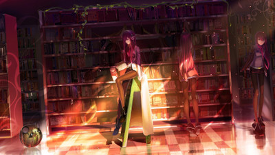 

Akhuratha Anime steinsgate Wall Poster Paper Print(12 inch X 18 inch, Rolled)