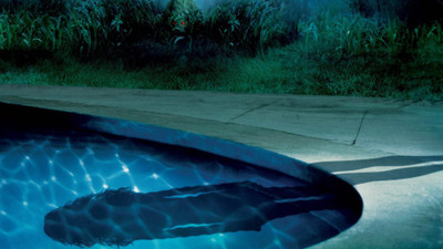 

Aabhaas images-water-lady-themoviedb-backdrops Wall Poster Paper Print(12 inch X 18 inch, Rolled)