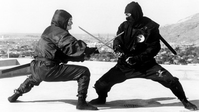 

Wall Poster a/ninjas-archives Paper Print(12 inch X 18 inch, Rolled)