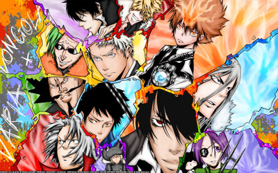 

Akhuratha Anime piece-reborn-hitmans-images Wall Poster Paper Print(12 inch X 18 inch, Rolled)