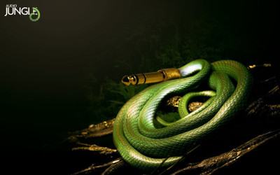 

snakes-music Wall Poster Paper Print(12 inch X 18 inch, Rolled)