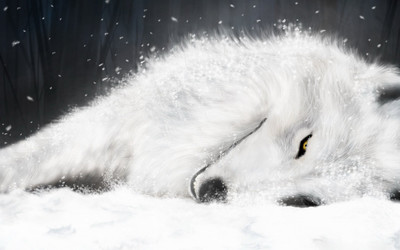 

Akhuratha Anime market-archives-rain-wolfs Wall Poster Paper Print(12 inch X 18 inch, Rolled)