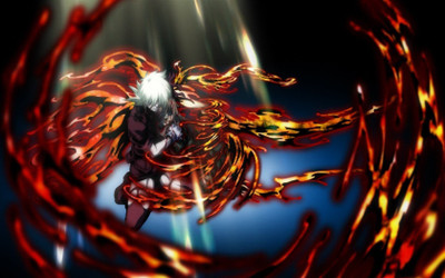 

Akhuratha Anime hellsing Wall Poster Paper Print(12 inch X 18 inch, Rolled)