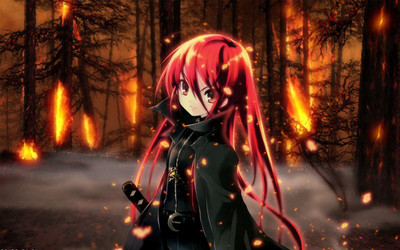 

Akhuratha Anime shakugan-no-shana-shana Wall Poster Paper Print(12 inch X 18 inch, Rolled)