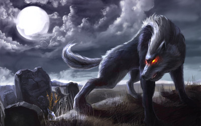 

Akhuratha Anime awolfs Wall Poster Paper Print(12 inch X 18 inch, Rolled)