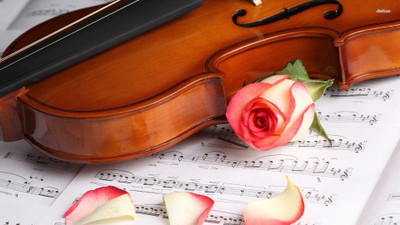 

Akhuratha sheet-violin-rose Wall Poster Paper Print(12 inch X 18 inch, Rolled)