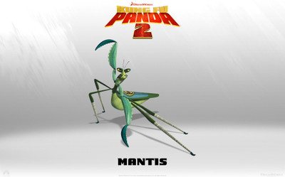 

Aabhaas mantis-high-panda-resolution-movie--pictures Wall Poster Paper Print(12 inch X 18 inch, Rolled)