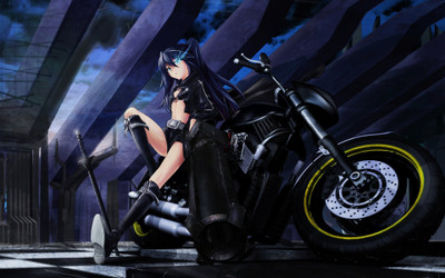 

Akhuratha Anime albums Wall Poster Paper Print(12 inch X 18 inch, Rolled)