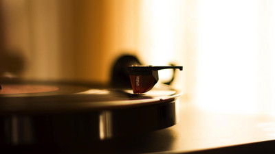 

music-records Wall Poster Paper Print(12 inch X 18 inch, Rolled)