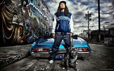 

Akhuratha music-yankovic-weirds-stretch Wall Poster Paper Print(12 inch X 18 inch, Rolled)