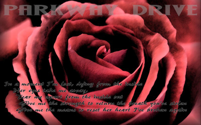 

music-parkwaydrive-screensavers-drive-parkways Wall Poster Paper Print(12 inch X 18 inch, Rolled)