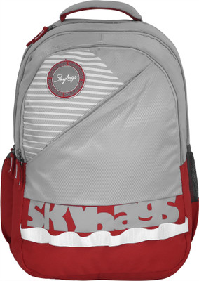 

Skybags Bingo Extra 03 38 L Backpack(Grey)