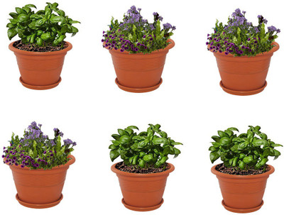 

Meded 12 inch Heavy Duty Plastic Garden Planters With Bottom Tray (Pack of 6) Plant Container Set(Pack of 6, Plastic)