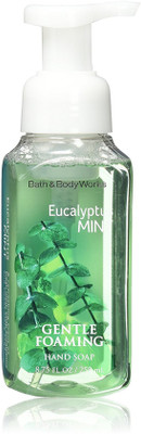 

Bath & Body Works Eucalyptus Mint Gentle Foaming Hand Soap(259 ml, Bottle)