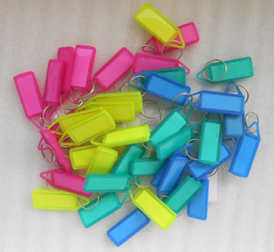 

PERFECT SHOPO 100 pcs ASSORTED DOUBLE SIDED KEY CHAIN TAG LABEL LOCKING MULTI COLOR Locking Key Chain(Multicolor)