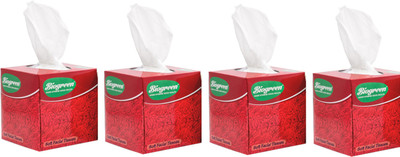 

Biogreen Soft Facial Tissue(Pack of 4)