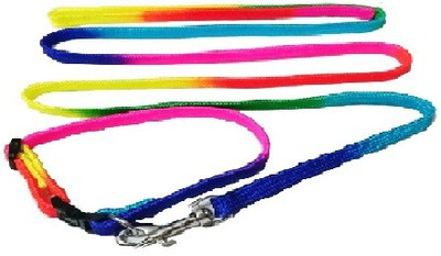 

Pets Empire Dog Puppy and Small Breed Dog Rainbow colours Collar and Leash Set Plain Dog Collar Charm(Multicolor, Round)
