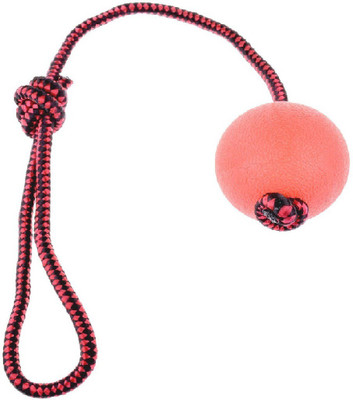 

Pets Empire Pet Toy Dog Plastic Ball Toys or Dogs Training Playing Chewing Pet Sports Toy Pet Products Dog Suppliers With Rope Color May Vary Plastic Chew Toy For Dog