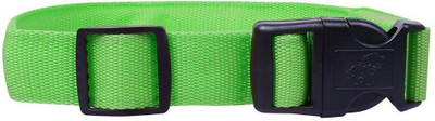 

Pets Empire LED dog Collar to Keep Your Dog Safe – Flashing Dog Collar 1 Piece - Color May Vary Dog Show Collar(, Multicolor