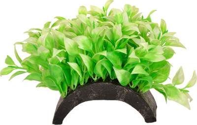 

Liger India Aquarium/ Fish Tank Decorative Artificial Plant Laterite Planted Substrate(Green)