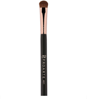 

Pro Arte Eyelid Applicator AE21(Pack of 1)