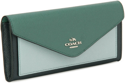 

Coach Casual Blue, Green Clutch
