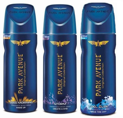 

Park Avenue Good Morning,Cool Blue,Storm Body Spray - For Men(150 ml, Pack of 3)