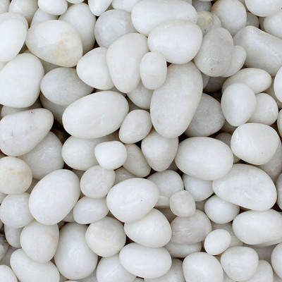 

Foodie Puppies White Pebbles Glossy Stones For Home Decorative, Vase Fillers, Aquarium Fish Tank,Garden (Polished 450 g) Aquarium Tool