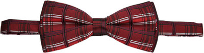 ALVARO CASTAGNINO Striped Tie