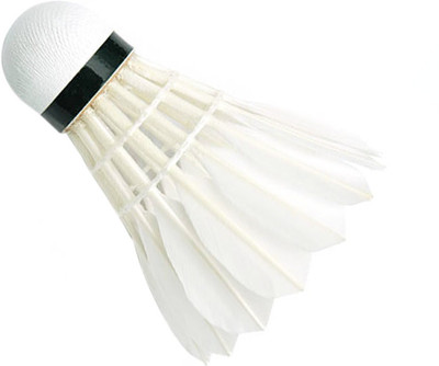 

Scorpion Feather Shuttle White (Pack of 10) Feather Shuttle - White(Medium, 77, Pack of 10)