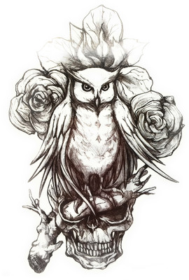 

gemmas Fashion Owl(Owl)