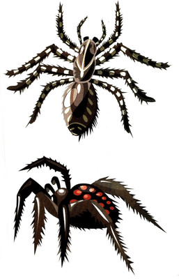 

gemmas Fashion Spider(Spider)
