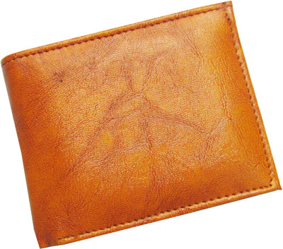 

Poland Boys Brown Artificial Leather Wallet(5 Card Slots), Tan