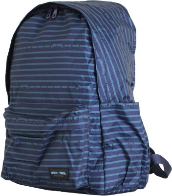 Siffler Rebom Border Navy 20 L Backpack(Blue)