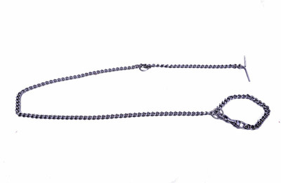 

Fantastic Dog 150 cm Dog Chain Leash(Silver)