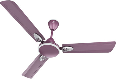 

standard Rover Mauve 3 Blade Ceiling Fan(Purple, Pack of 1), Multicolor