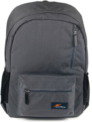

Protecta 15.6 inch Laptop Backpack(Grey)